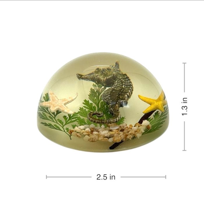 Seahorse Acrylic Dome Paperweight (Glows-In-The-Dark)