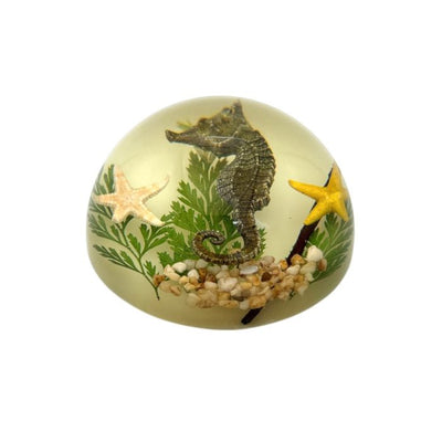 Seahorse Acrylic Dome Paperweight (Glows-In-The-Dark)