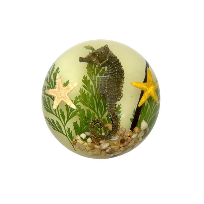 Seahorse Acrylic Dome Paperweight (Glows-In-The-Dark)