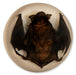Real Bat in Acrylic Dome Paperweight