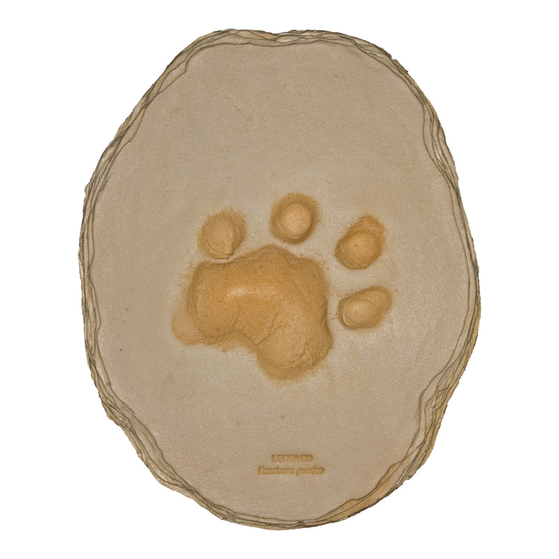 Replica African Leopard Footprint
