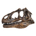 Replica Allosaurus Skull (1:4 Scale)