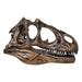 Replica Allosaurus Skull (1:4 Scale)