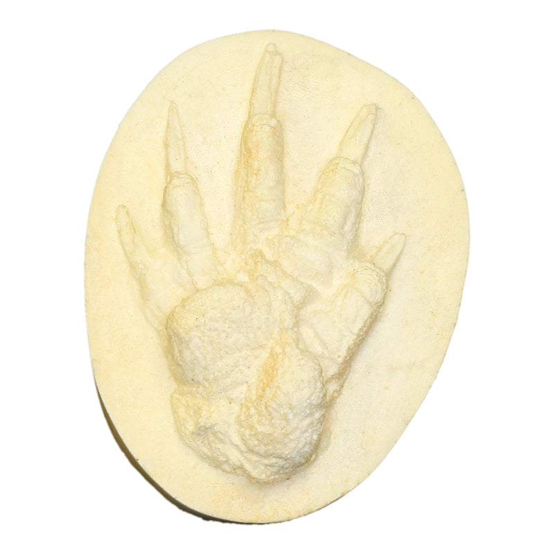 Replica American Beaver Negative Footprint