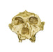 Replica SK-48 Skull - Cranium Only