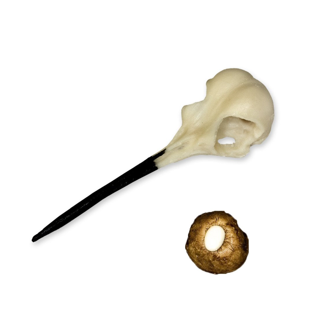 Replica Ruby-throated Hummingbird Set (Skull and Egg) For Sale