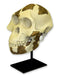 Replica Lucy Skull