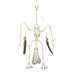 Replica Bald Eagle Skeleton - Articulated