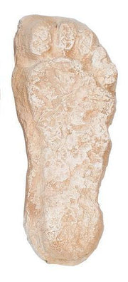 Replica Bigfoot Negative Footprints