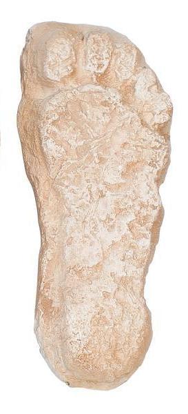 Replica Bigfoot Negative Footprints
