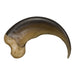 Replica American Black Bear Claw (8cm)