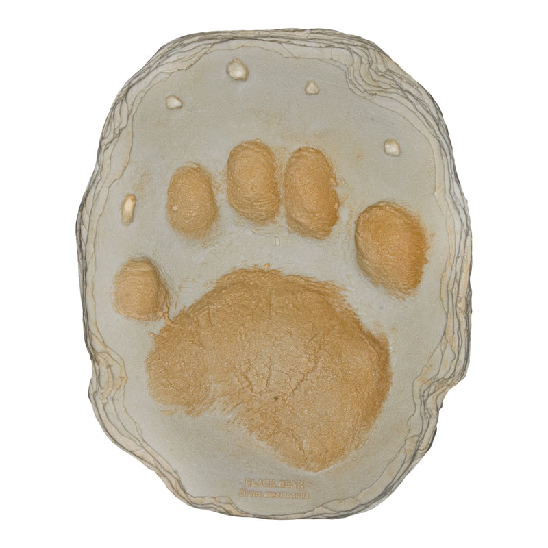 Replica American Black Bear Footprint