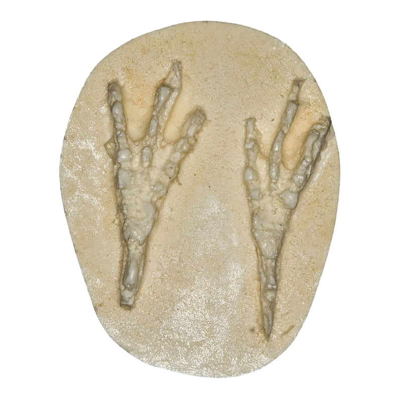 Replica Blue Jay Negative Footprint