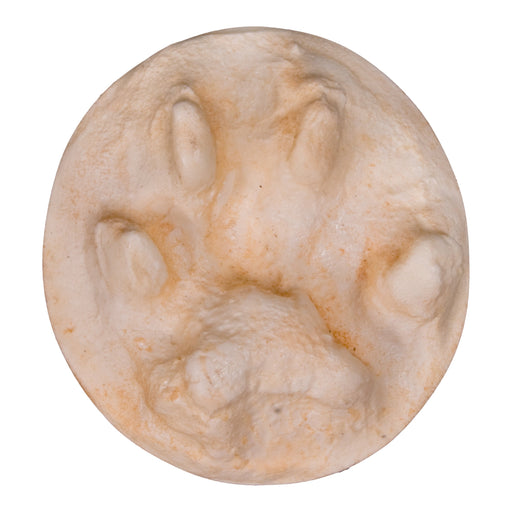 Bobcat Negative Footprint