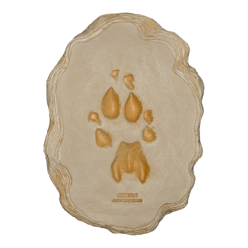 Replica Cheetah Footprint