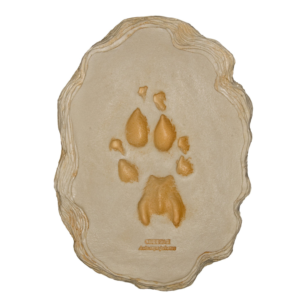 Cheetah-Footprint-FP-
