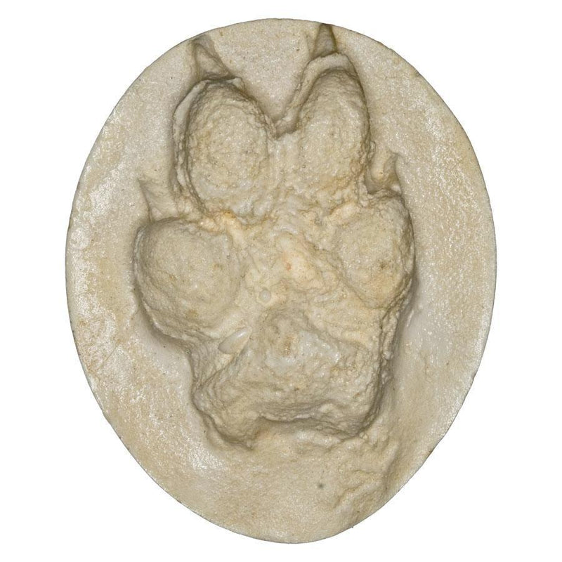 Replica Coyote Negative Footprint