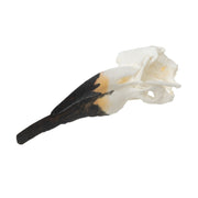 Replica Black Skimmer Skull