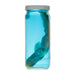 Real Wet Specimen in Alcohol - Spiny Dogfish Shark