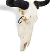 Real Blue Wildebeest Skull