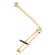 Real Human Humerus, Radius, and Ulna