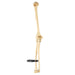 Real Human Humerus, Radius, and Ulna