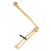 Real Human Humerus, Radius, and Ulna