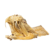 Real Preserved Rattlesnake Head