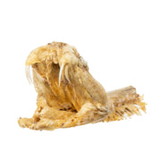Real Preserved Rattlesnake Head