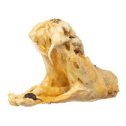 Real Preserved Rattlesnake Head