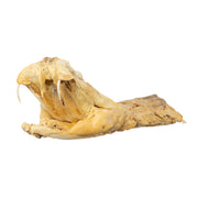 Real Preserved Rattlesnake Head
