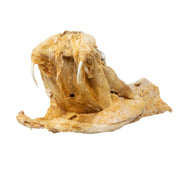 Real Preserved Rattlesnake Head