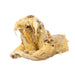 Real Preserved Rattlesnake Head