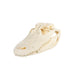 Real American Alligator Skull - 9-12 in.