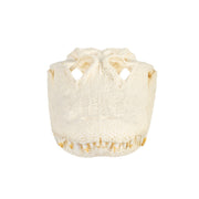 Real American Alligator Skull (Over 12 in.)