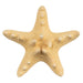 Real Horned Sea Star
