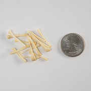 Real Bag-O-Beaver Baculum - Small
