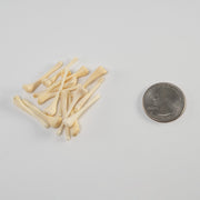 Real Bag-O-Beaver Baculum - Adolescent
