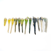 Real Bag-O-Parakeet Tails