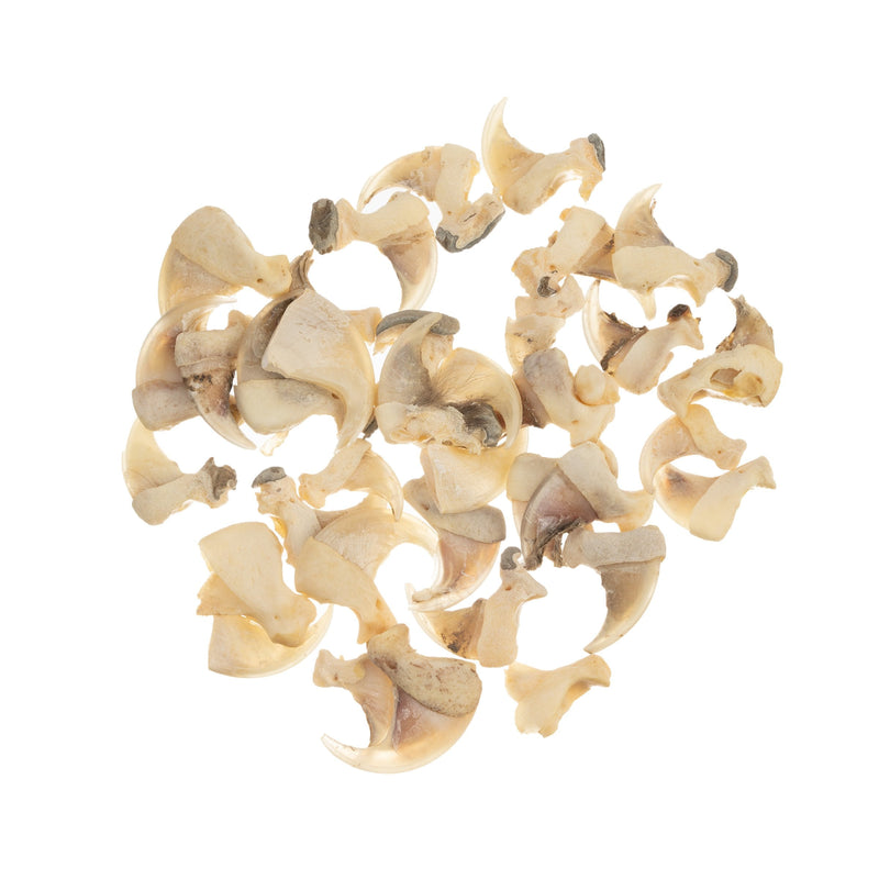 Real Bag-O-Bobcat Claws