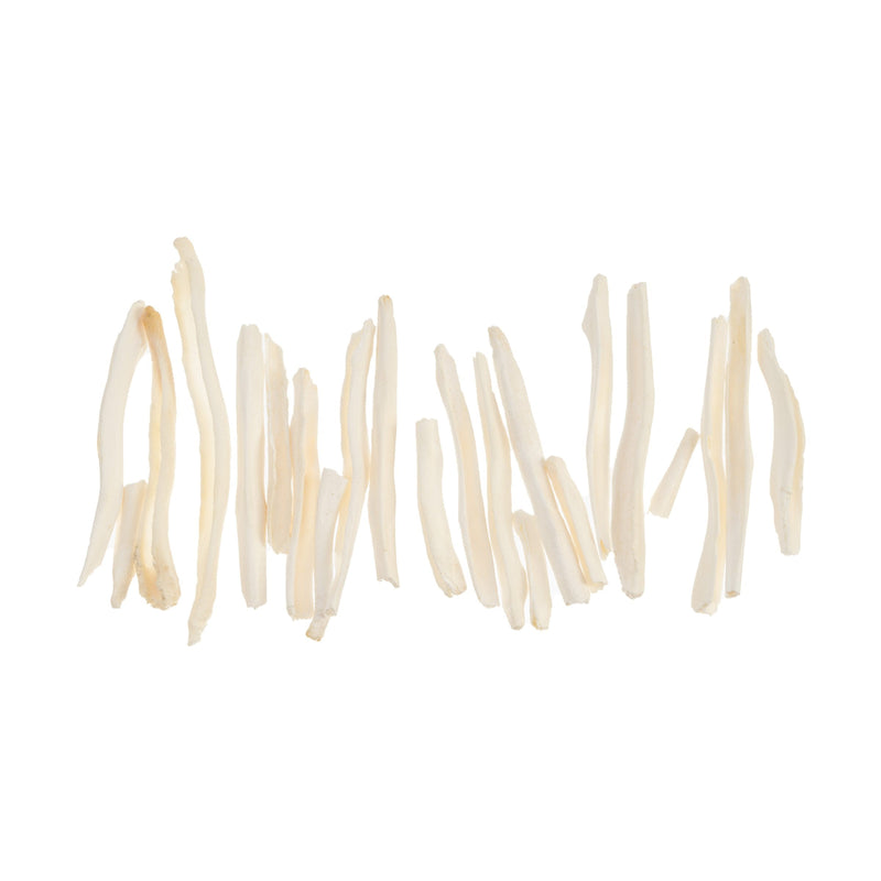 Real Bag-O-Coyote Baculum