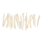 Real Bag-O-Coyote Baculum