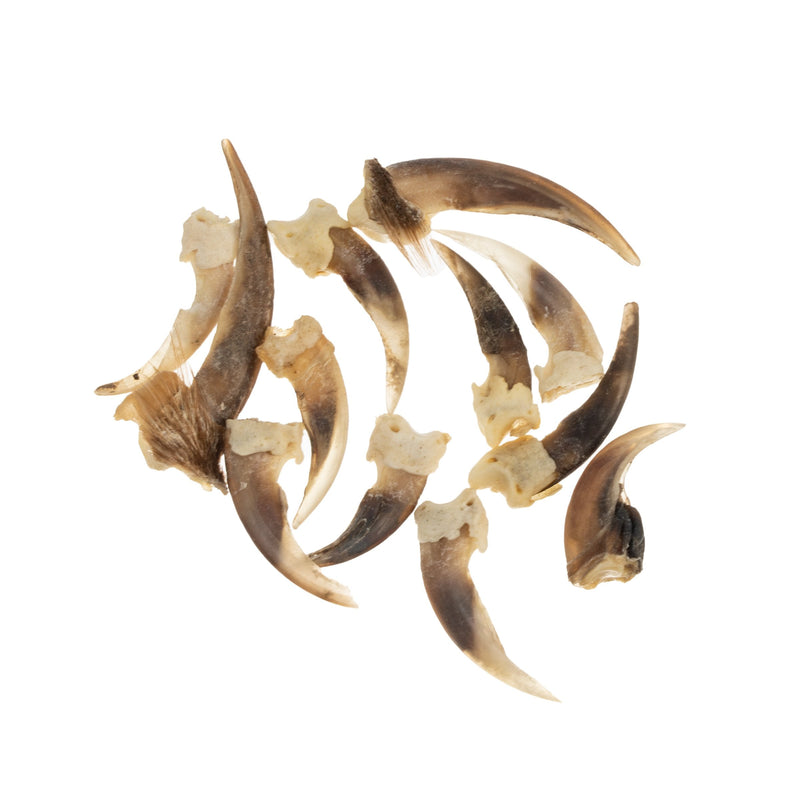 Real Bag-O-Badger Claws