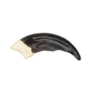 Replica Komodo Dragon Claw