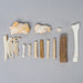 Real Search & Rescue Dog Cadaver Training Bones