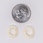 Real Lizard Sclerotic Ossicle Pair