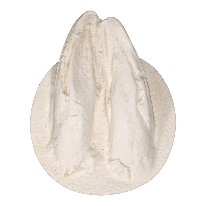 Replica Whitetail Deer Negative Footprint