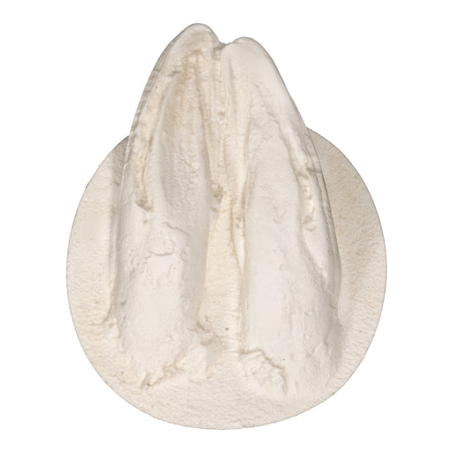 Replica Whitetail Deer Negative Footprint