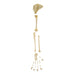 Real Domestic Cat Disarticulated Forelimb