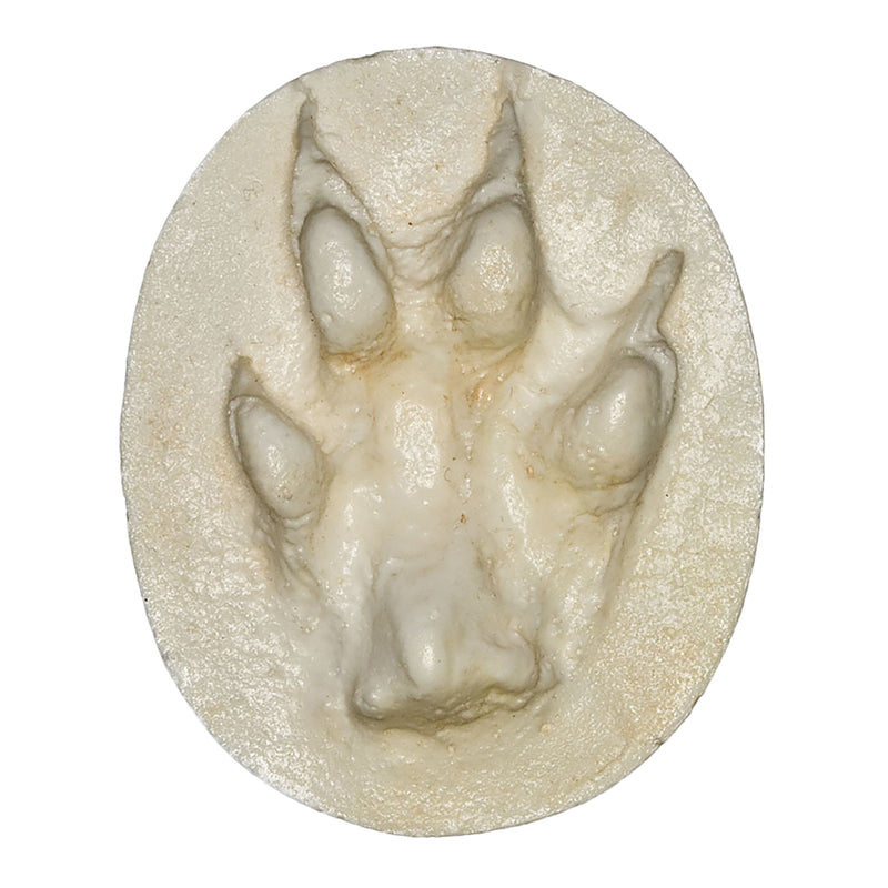 Replica Red Fox Negative Footprint